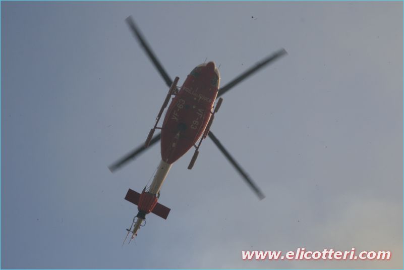 elifoto (180)